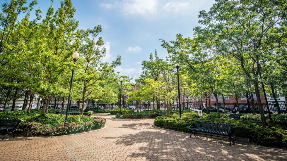 15 Fun Things You Can Do On A College Budget