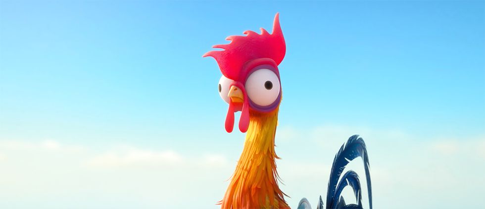 4 Reasons Why I Personally Relate With Hei Hei From “Moana”
