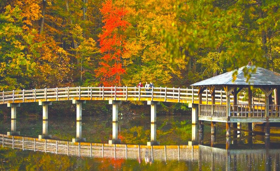 The 9 Most Beautiful College Campuses In America