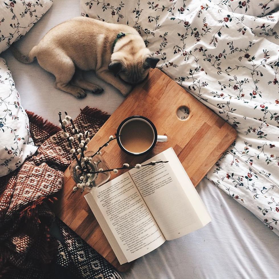 15 Signs You're an Extroverted Introvert