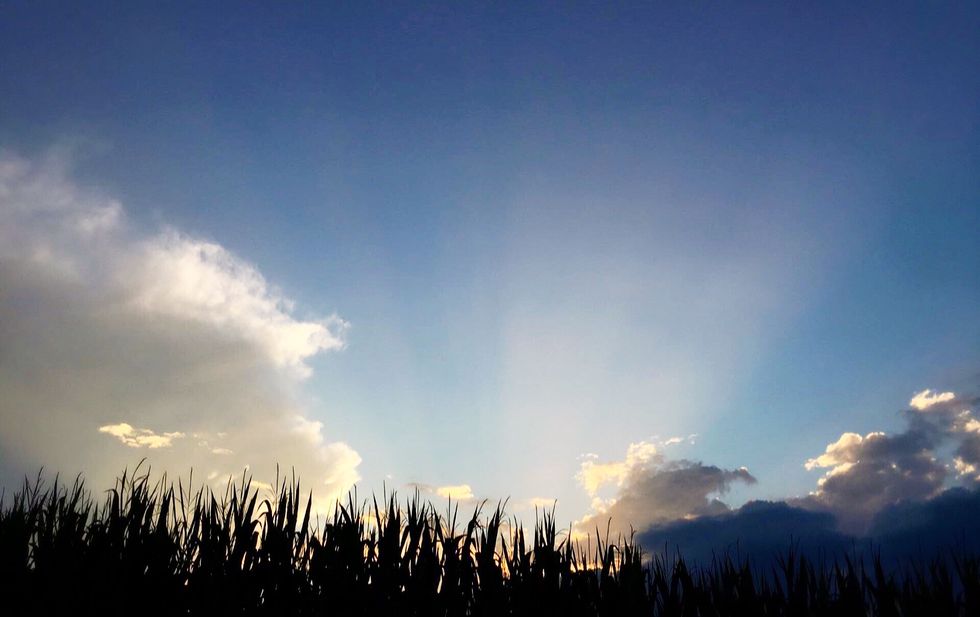 A Final Goodbye Letter To My Hometown, Newport