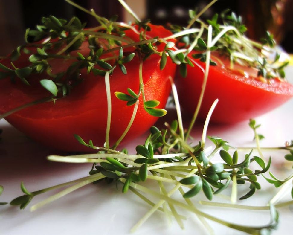 9 Questions Vegetarians Are Most Often Asked