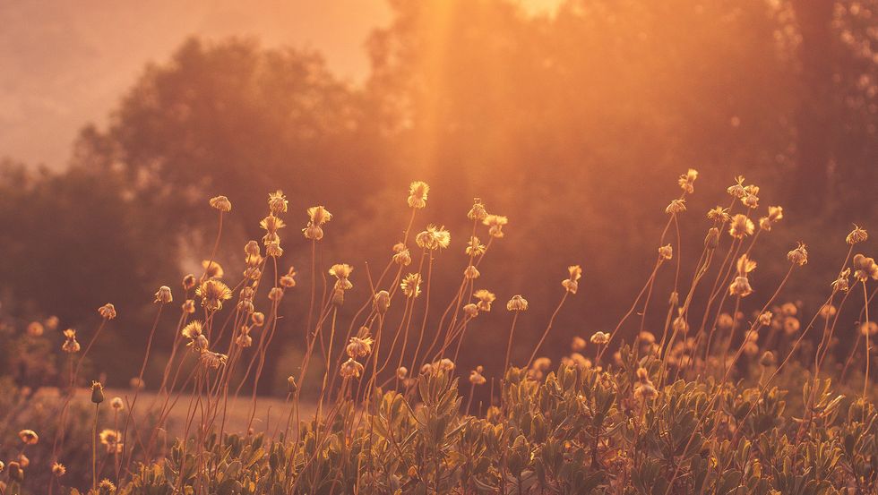 I Tried To Be A Morning Person For One Week