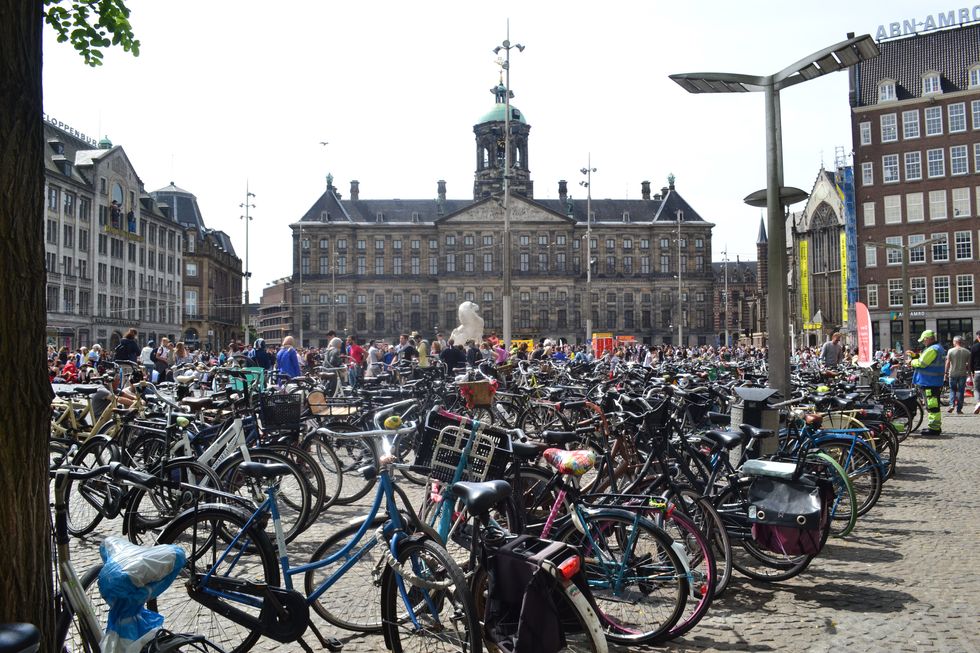 How The Netherlands Became A Bicycle Powerhouse