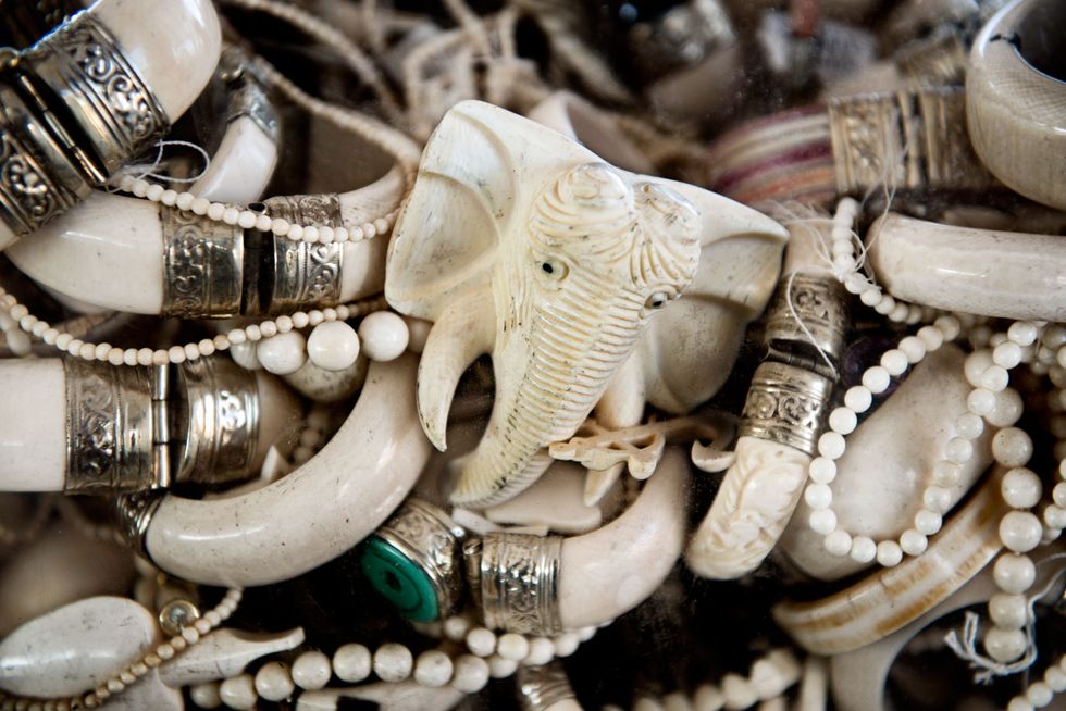 New York Just Had Another "Ivory Crush" Event And It's The Best Thing Ever