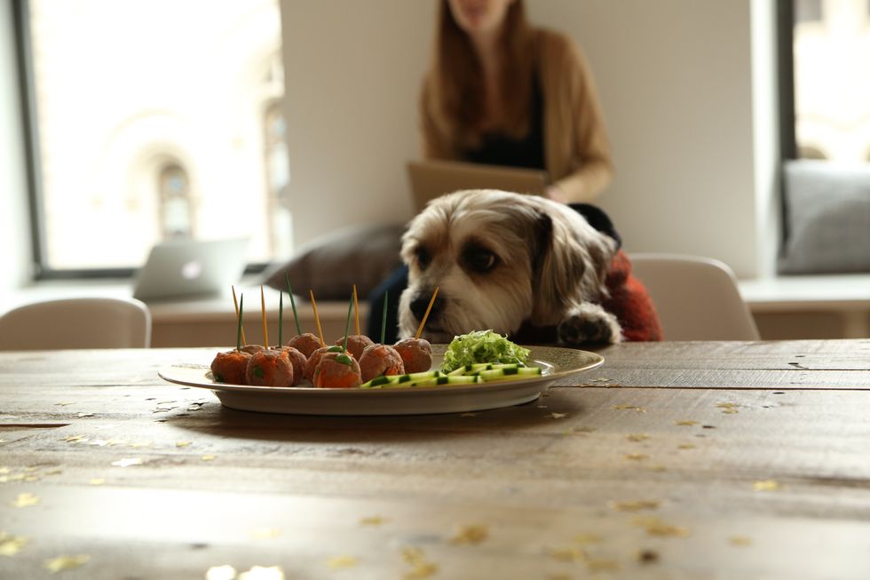 The 8 Stages Of 'Dieting'