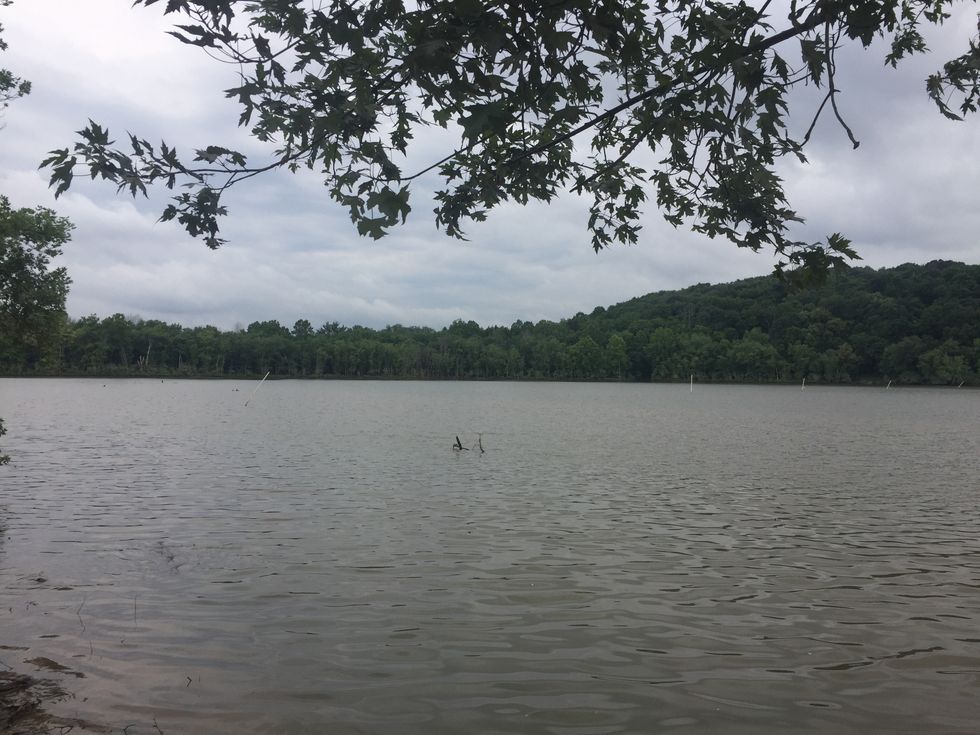 If Your Summer Didn't Go As Planned