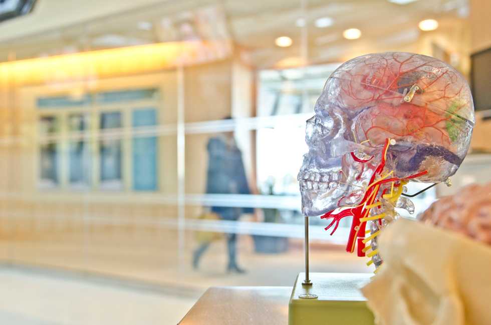 A Gut Feeling: How Bacteria Might Be Influencing Your Mental Health
