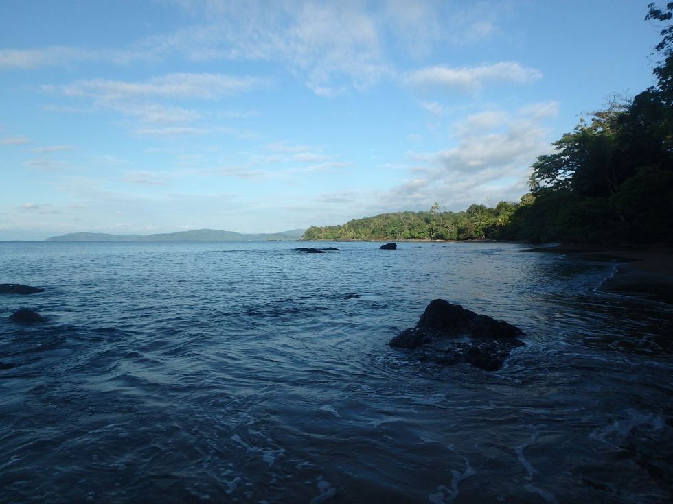 Life Is Not Linear, It Is A Ball Of String