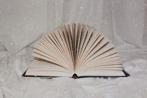 Authors' Advice For Their 20-Year-Old Selves, And All Young Writers