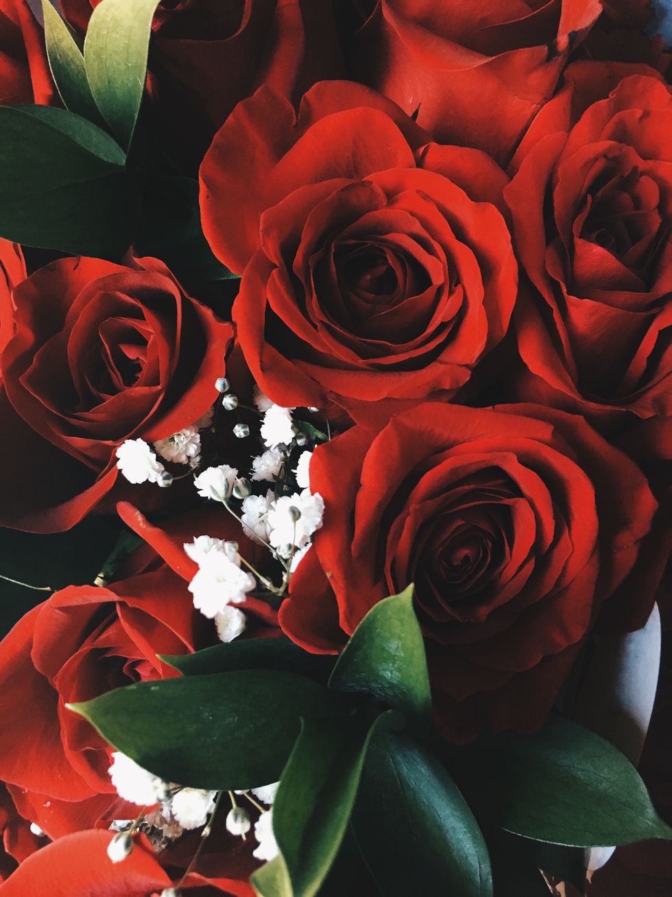 Roses Are A Meaningless, Overused Symbol Of Love