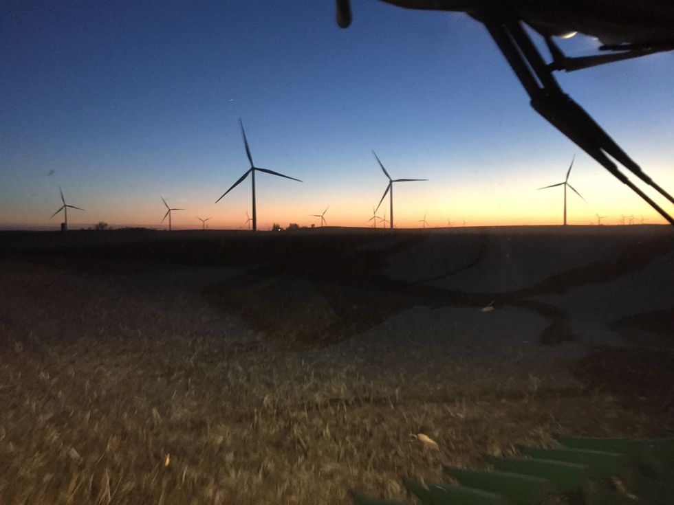 Corn: The Cliche Of Iowa