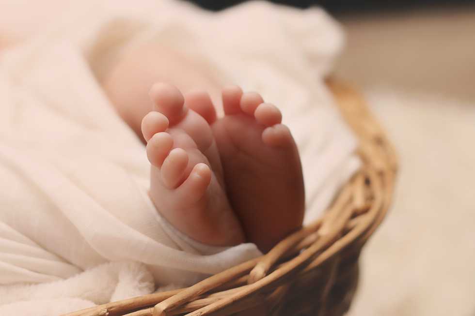 If Feminists Are Worried About Anything, It Should Be Artificial Wombs