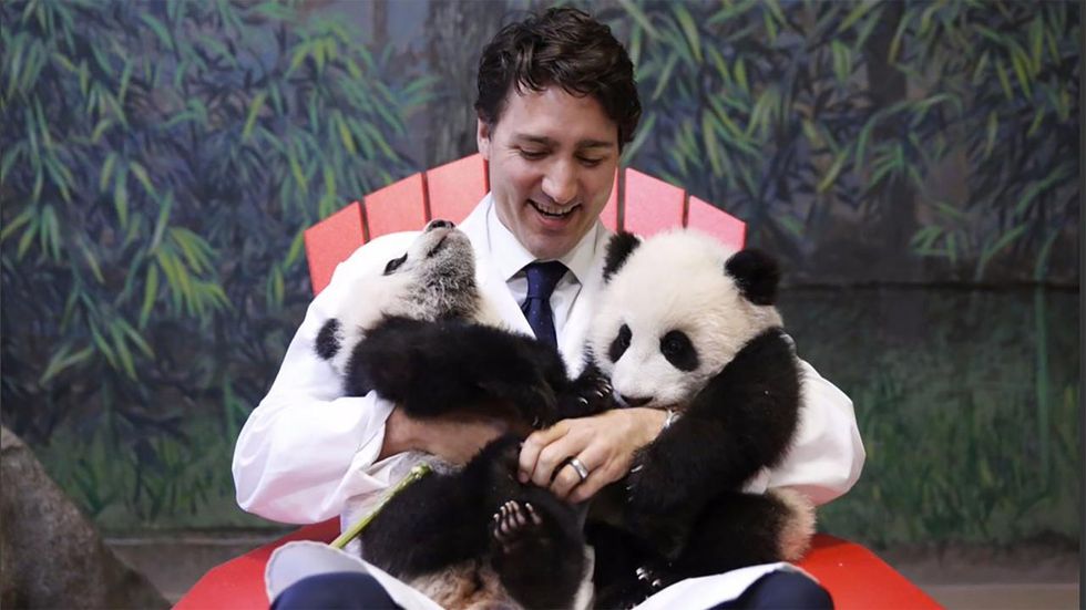 A Look At Justin Trudeau As An American Icon And The Prime Minister Of Canada