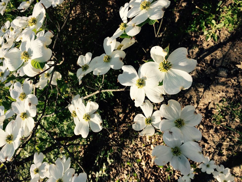 10 Reasons You Will Miss Your Mom When You Go To College