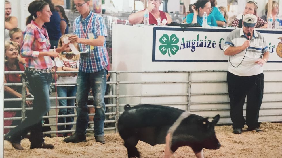 A Thank You To Livestock, And A Thank You To 4-H