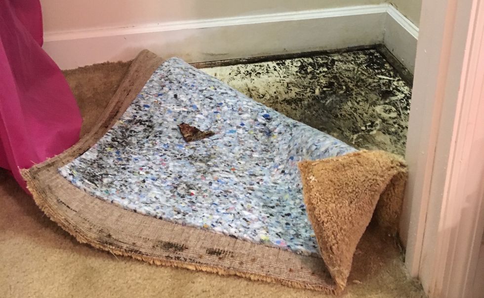 11 Reasons To Not Live At Campus Evolution Villages Tuscaloosa