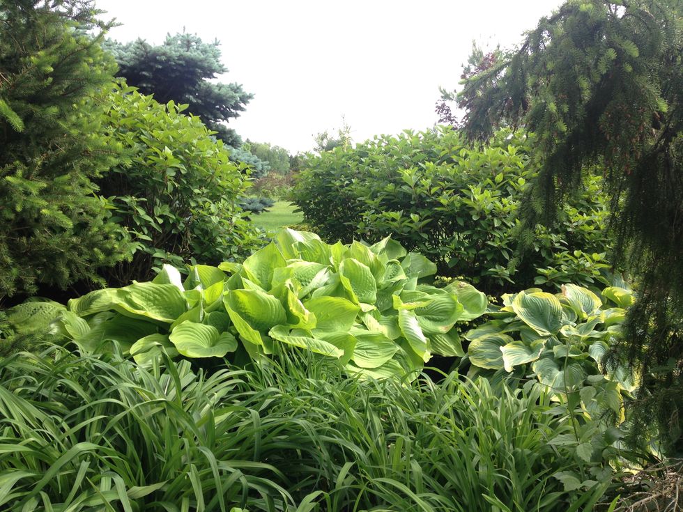 On Discipline And Rest