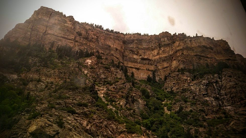 My Into The Wild Adventure