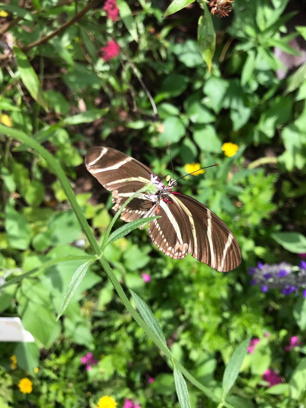 What Happens When You Ask Facebook About Beautiful Things