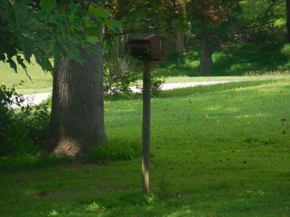 What It Is Like To Live In The Country