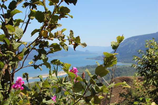 20 Things I Shamelessly Love About The Pacific Northwest