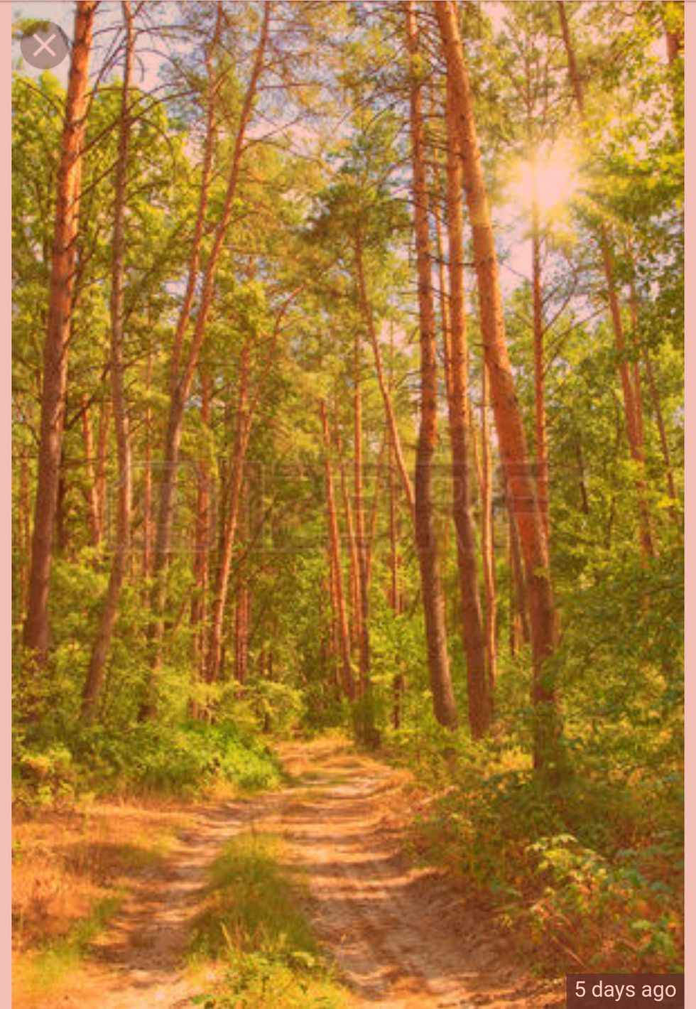 Poetry On Odyssey: The Exit Sign