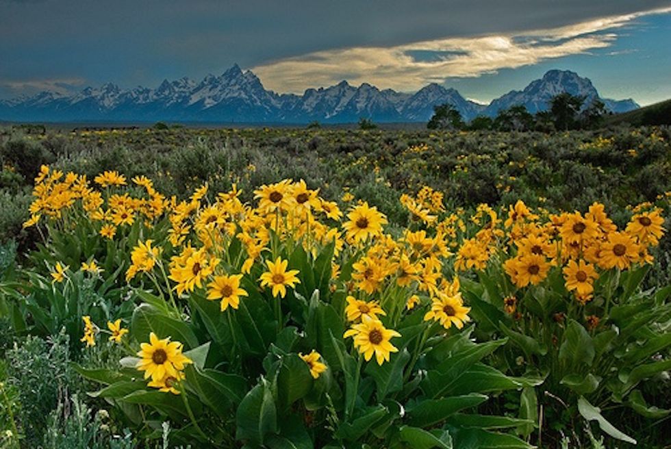 20 Quotes To Live By (That You Probably Haven’t Heard Before)