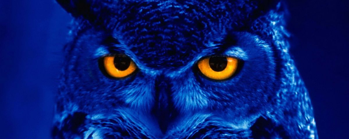 Seven Things All Night Owls Know To Be True