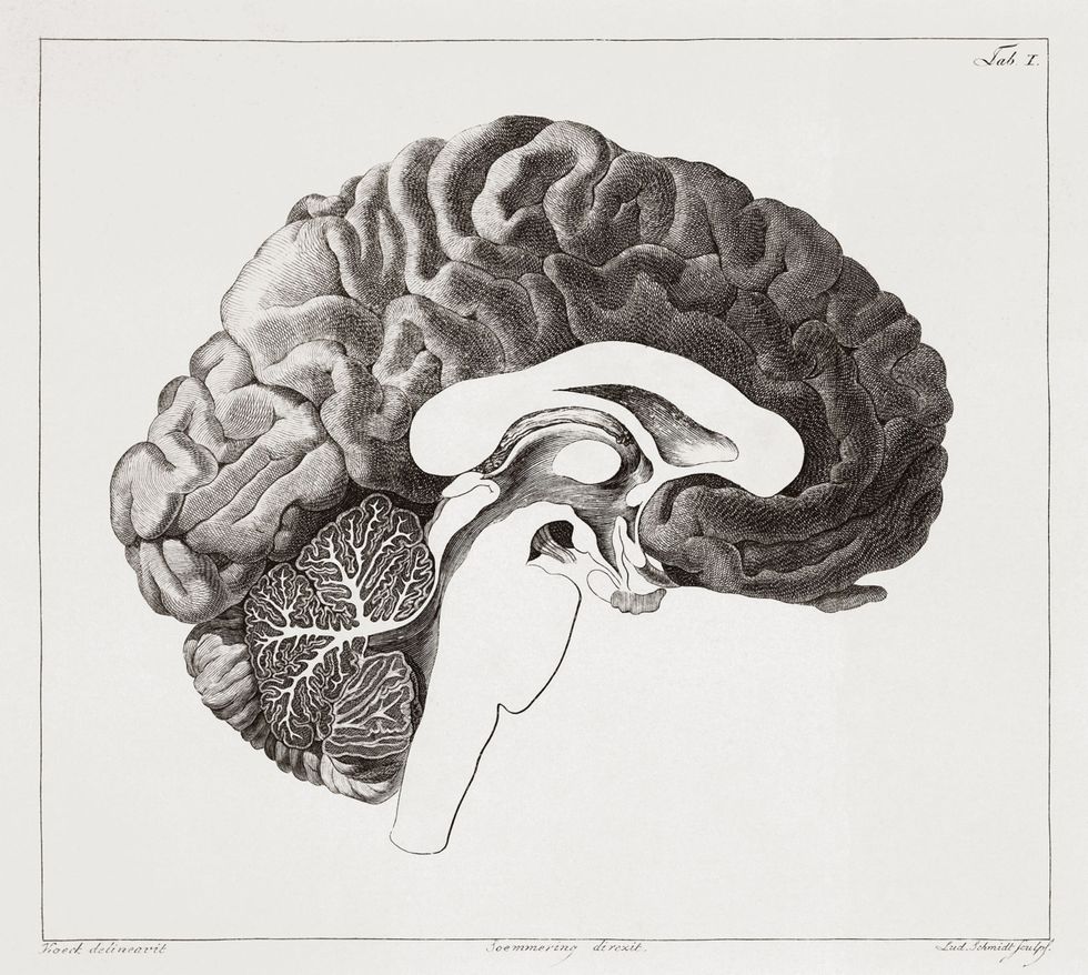 What lurks within another's brain?