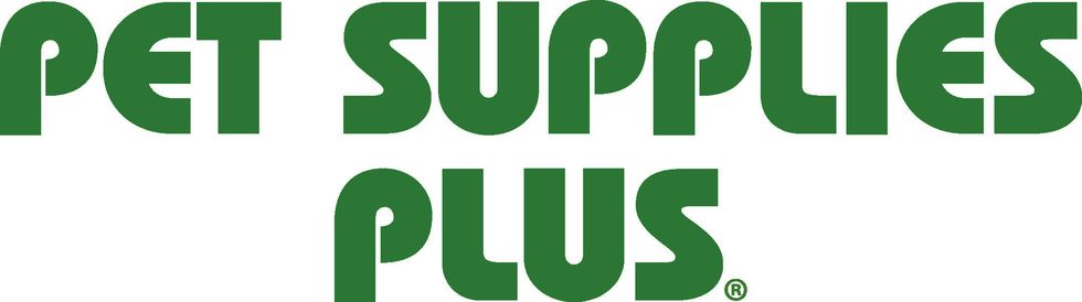 One To Remember: An Intern's Experience