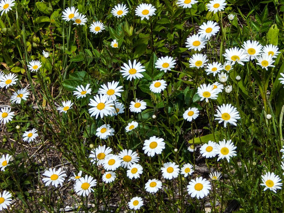 From being 20 to 21 My Thoughts