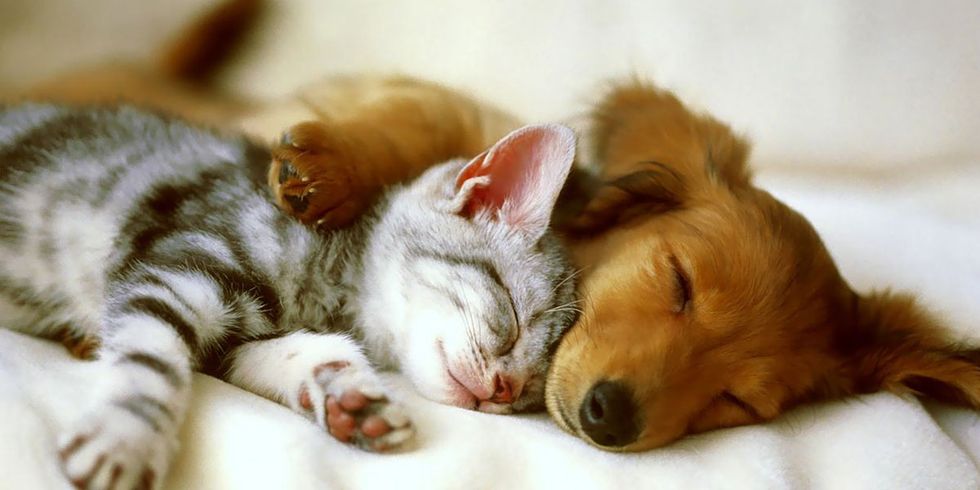 5 Reasons Everybody Should Take More Naps