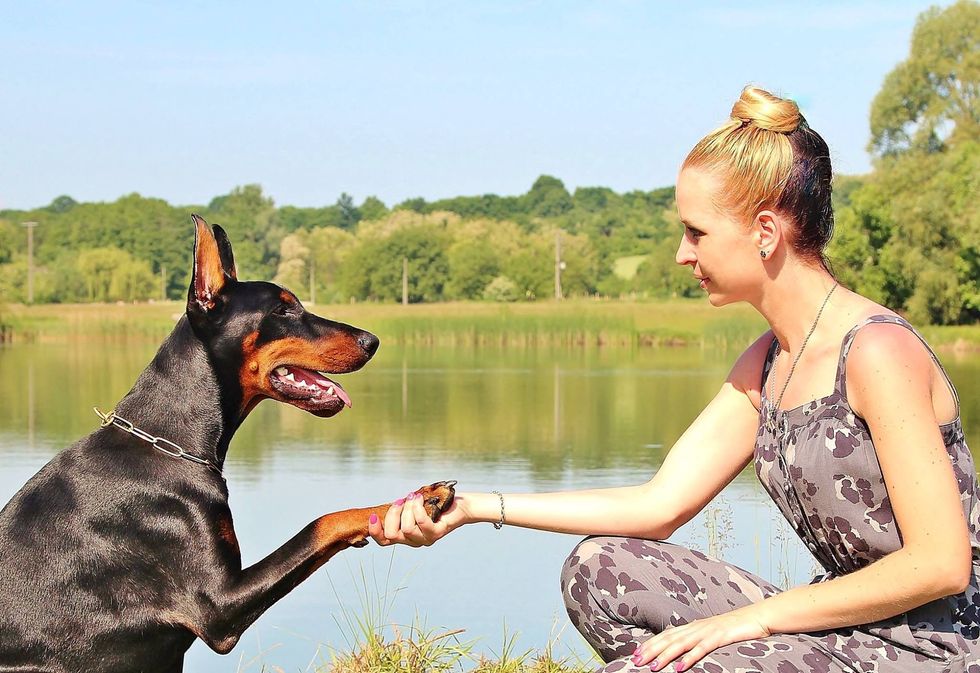 14 Ways You And Your Dog Are Each Other's Spirit Animal