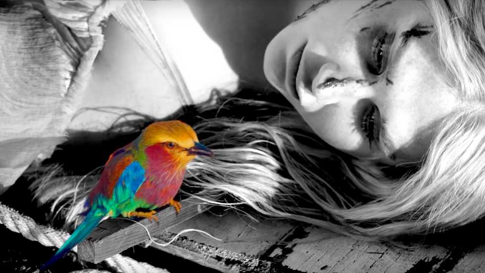 Thank You, Ke$ha, For 'Praying'