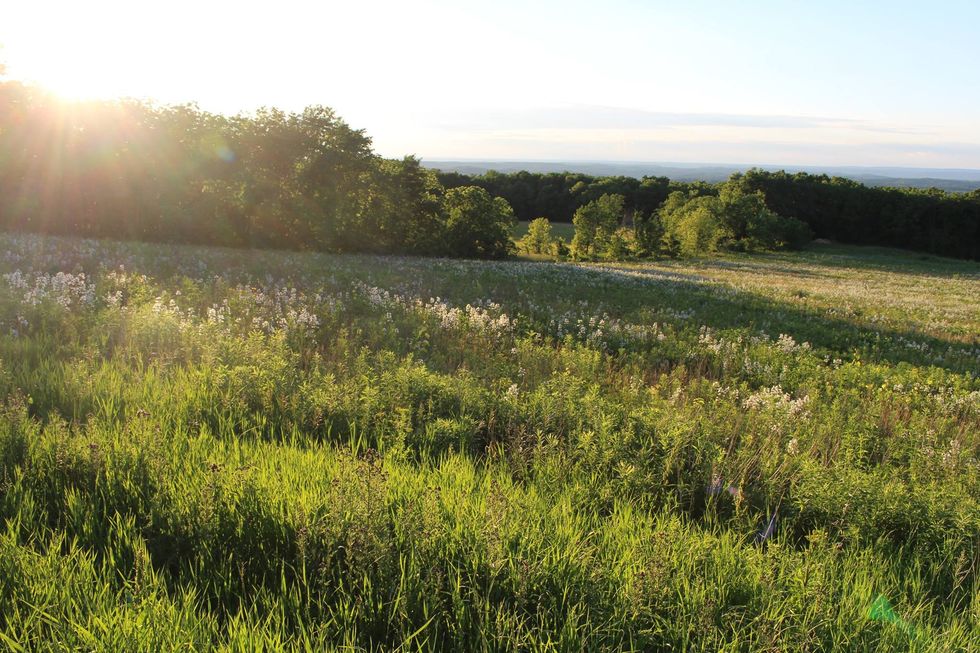 The Life Advise all College Freshman Need