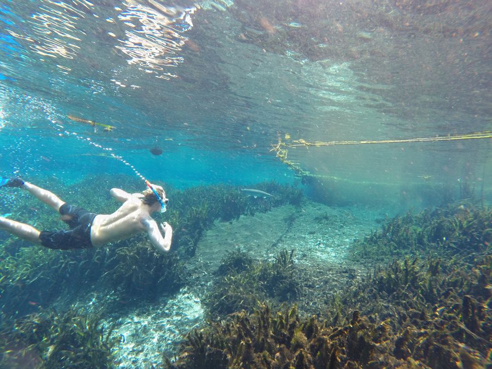 To The One Who Loves Him Next