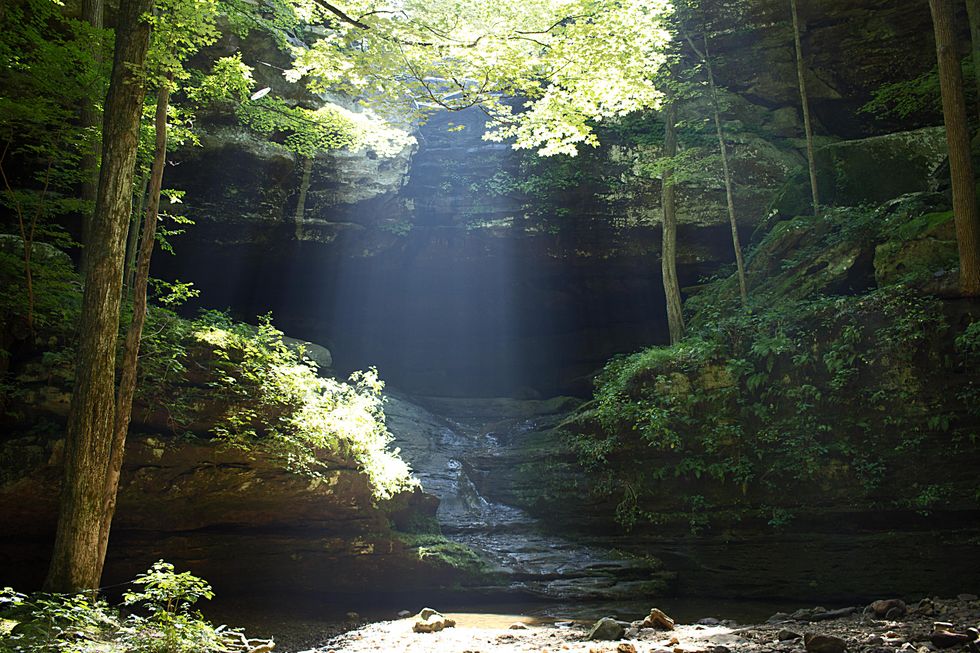 5 Natural Wonders Near UIUC's Campus