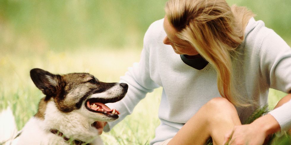 10 Things Every Dog Owner Does For Their Fur Baby