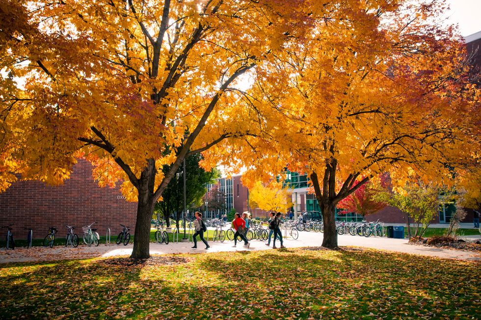 13 Reasons College Kids Can't Wait for the Fall Semester