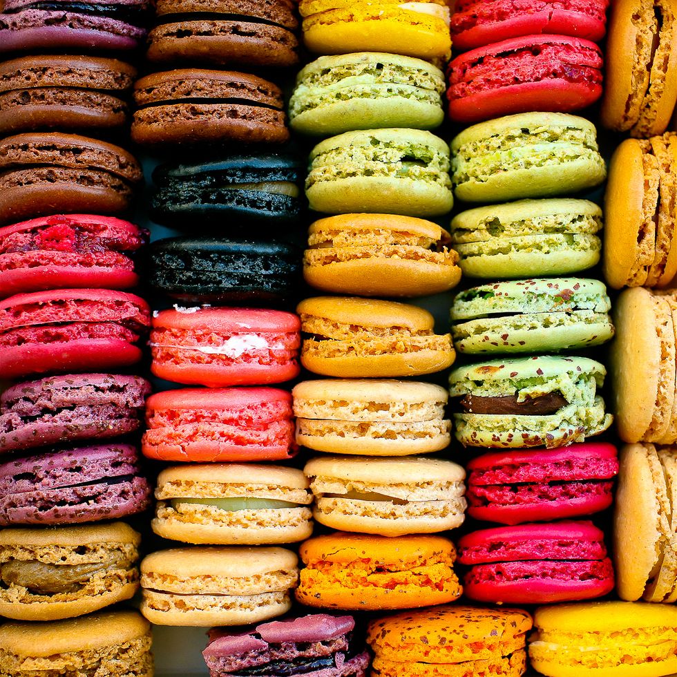 If Macaroons Were College Majors