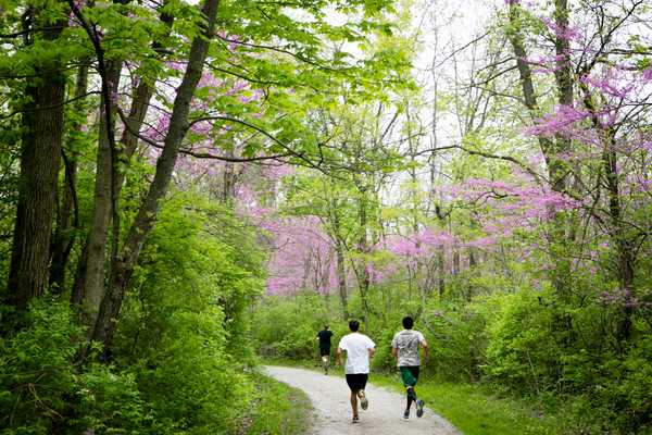 10 Fun Summer Activities To Do In Chicago