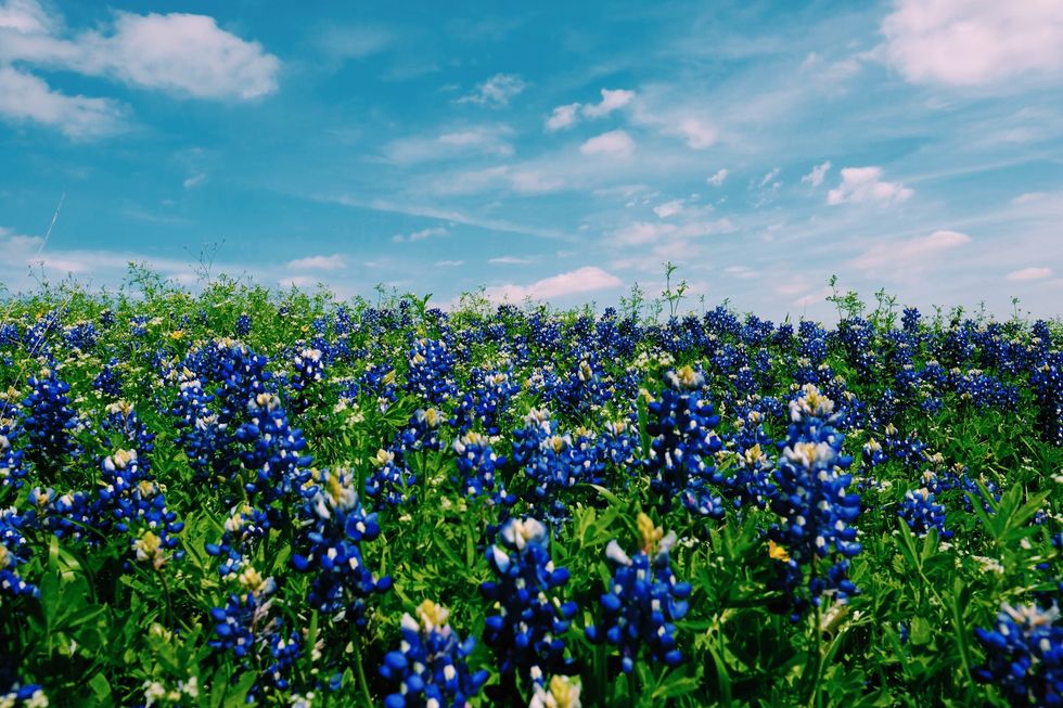 The Ultimate "My Texas" Bucket List