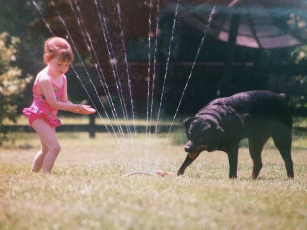 10 Reasons You'll Never Own A Dog As Amazing As A Rottweiler