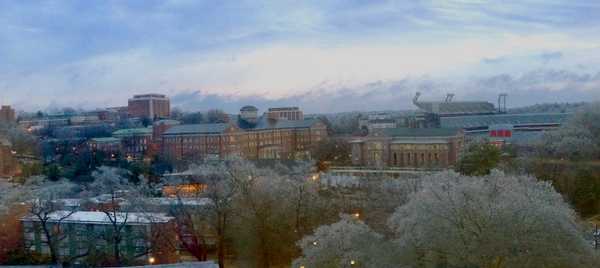 The ABCs Of The University Of Georgia