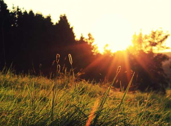 11 Of The Best Parts of Summer