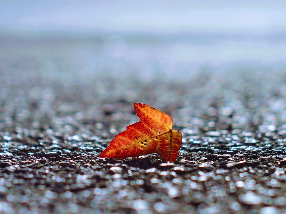 The Existential Crisis Of A 22 Year Old