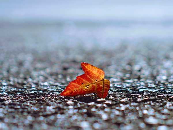 The Existential Crisis Of A 22 Year Old