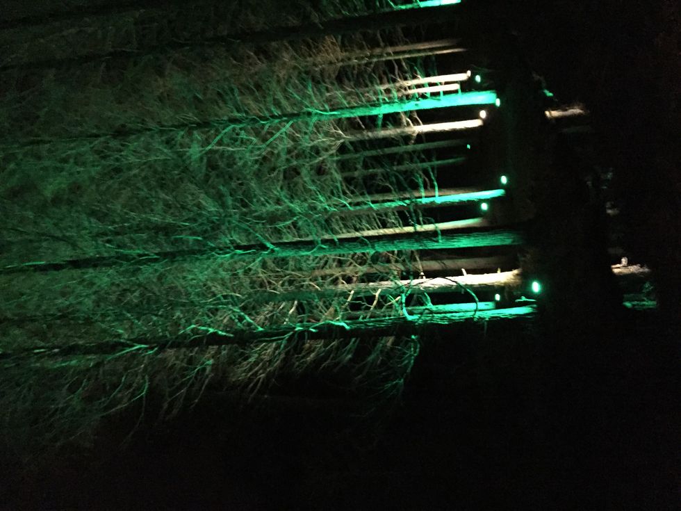 Why I'm Ready For Autumn