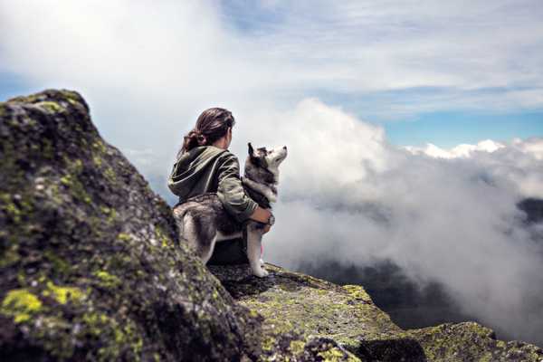10 Signs Your Dog Is Your Soulmate